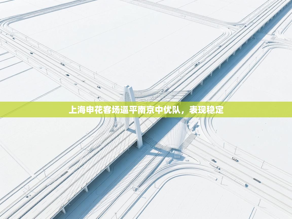 开云体育工单提交入口-上海申花客场逼平南京中优队，表现稳定