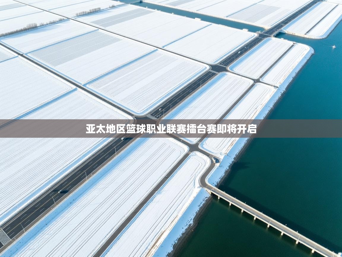 开云体育app下载地址-亚太地区篮球职业联赛擂台赛即将开启 第3张