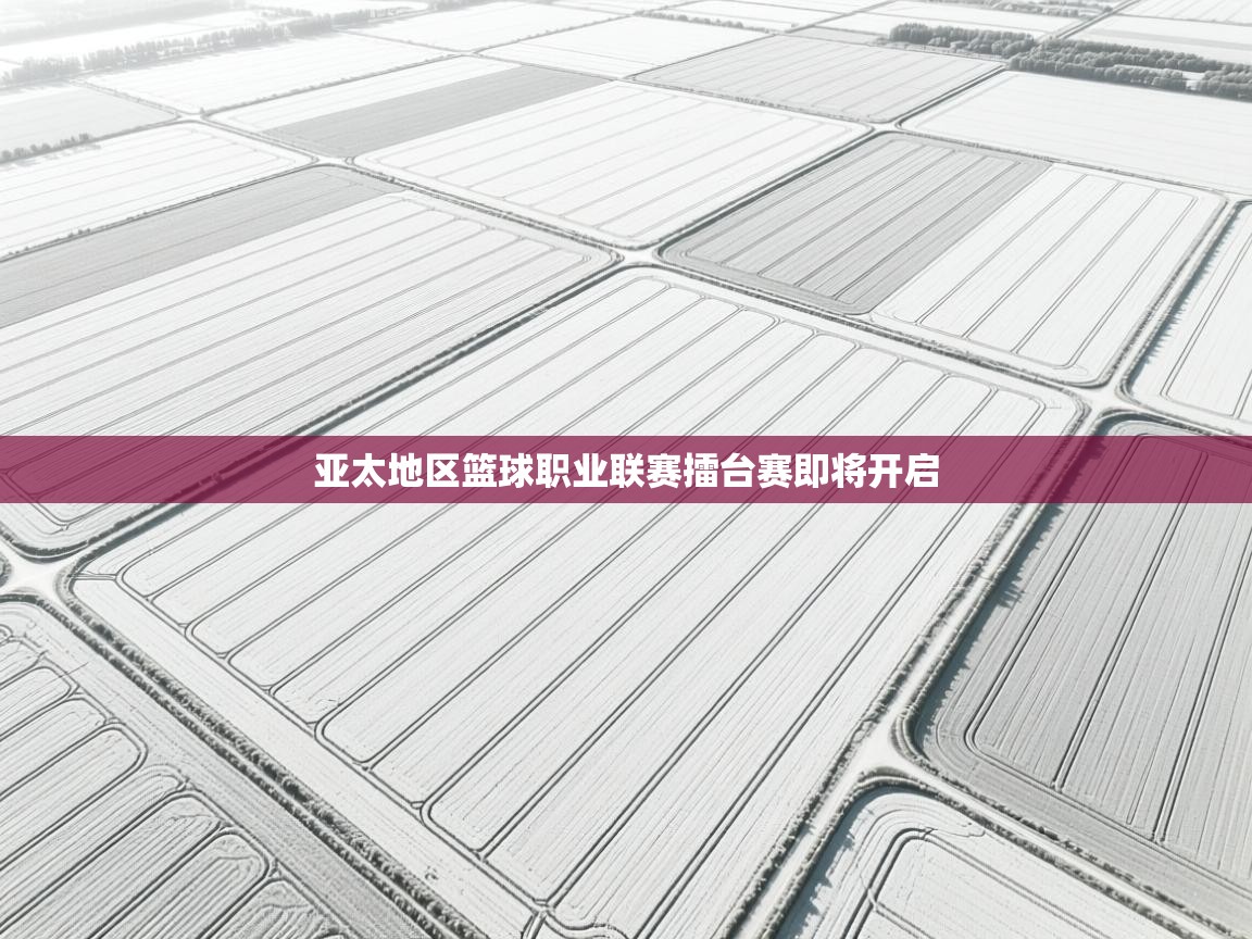 开云体育app下载地址-亚太地区篮球职业联赛擂台赛即将开启 第4张